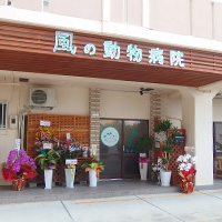 風の動物病院